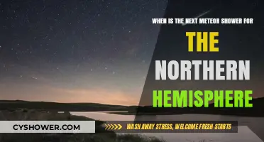 Northern Hemisphere's Next Meteor Shower: Dates and Viewing Tips