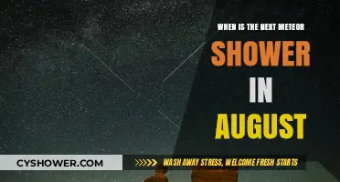 August's Celestial Spectacle: When to Watch the Next Meteor Shower