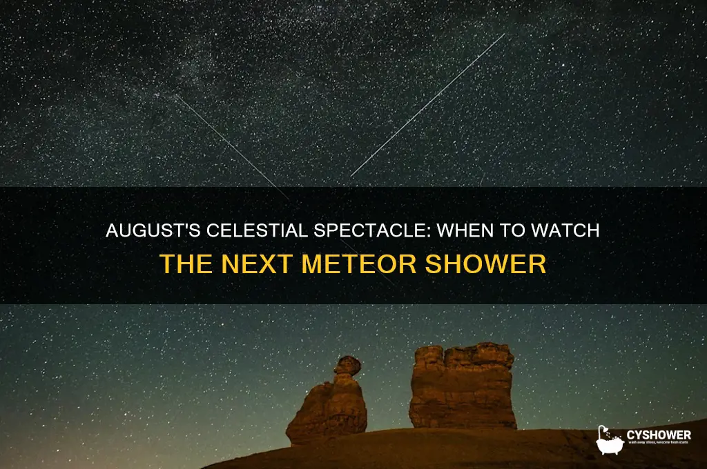 when is the next meteor shower in august