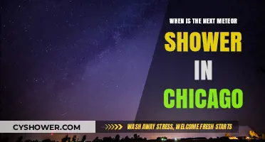 Chicago's Next Meteor Shower: Dates, Viewing Tips, and Best Spots