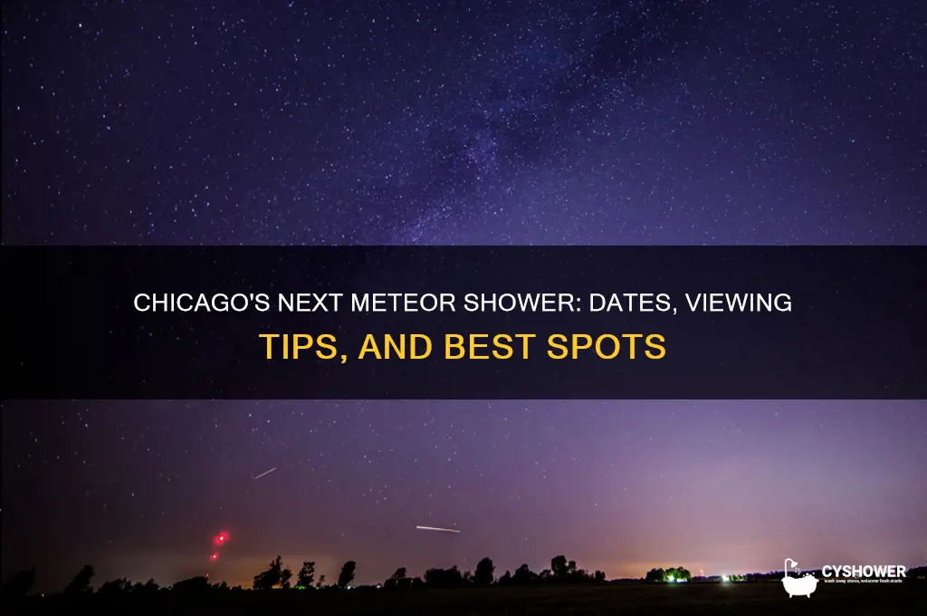 when is the next meteor shower in chicago