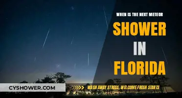 Florida's Next Meteor Shower: Dates, Viewing Tips, and Best Spots