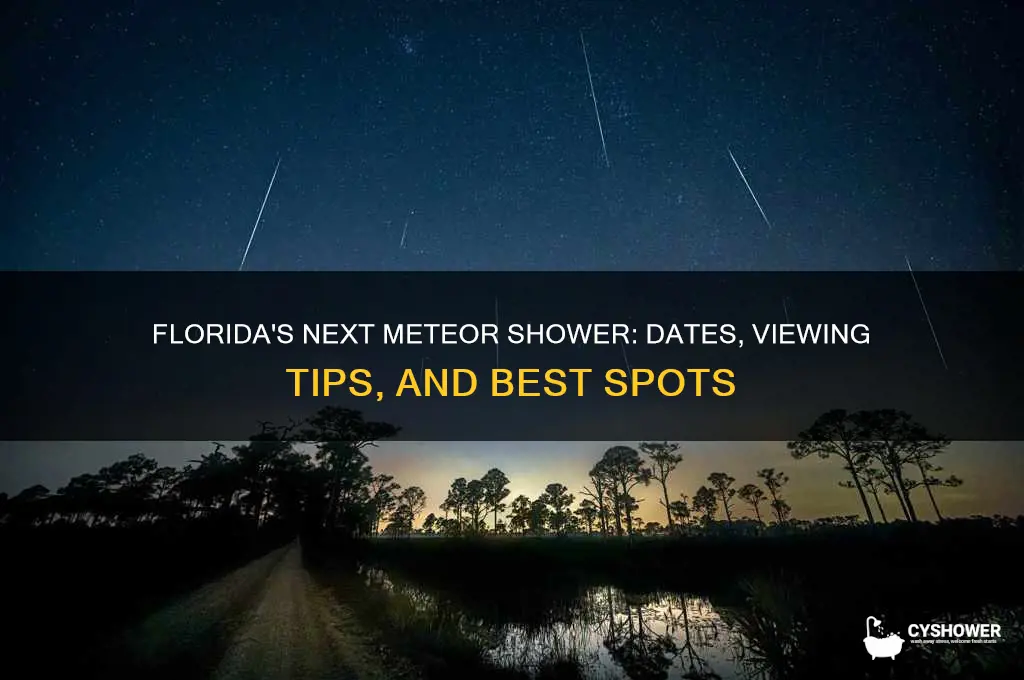 when is the next meteor shower in florida