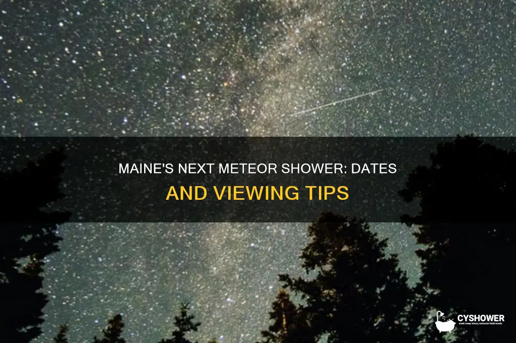 when is the next meteor shower in maine