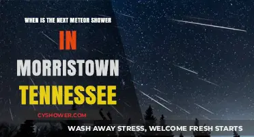 Morristown's Next Meteor Shower: Dates and Viewing Tips