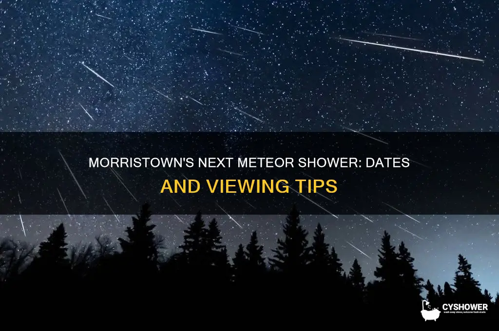 when is the next meteor shower in morristown tennessee