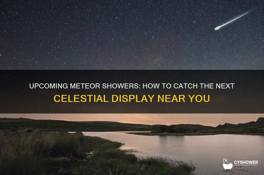 when is the next meteor shower in my area