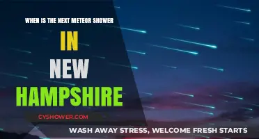New Hampshire's Next Meteor Shower: Dates and Viewing Tips