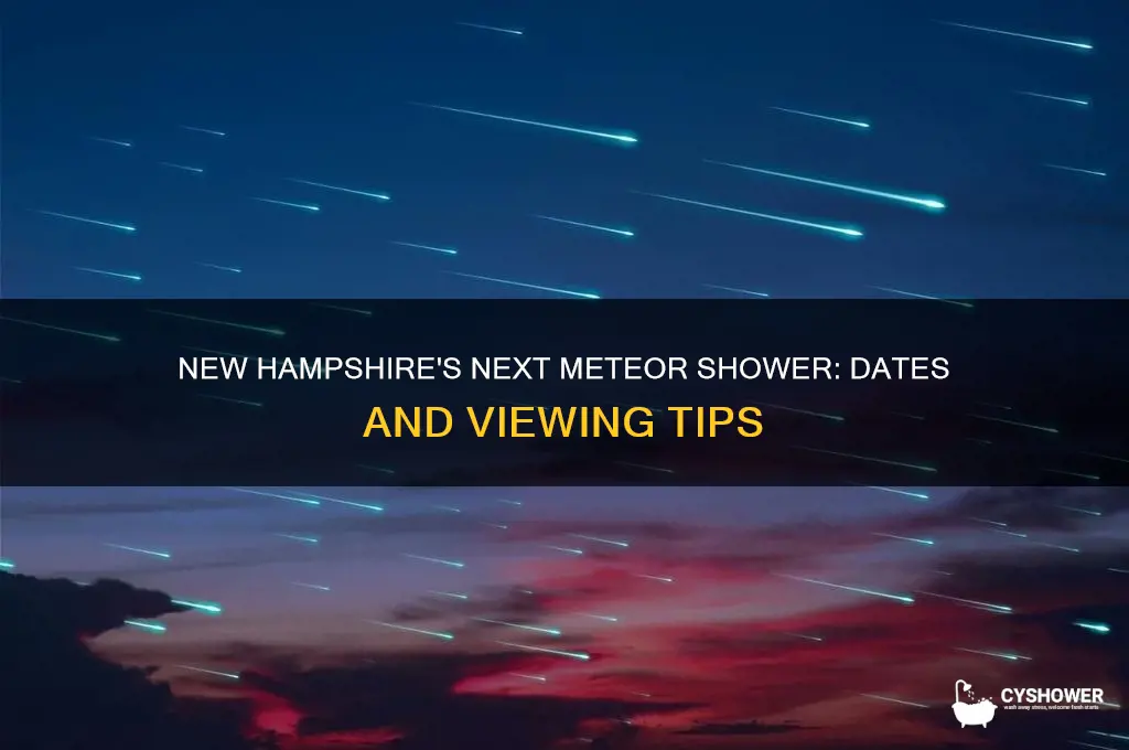 when is the next meteor shower in new hampshire
