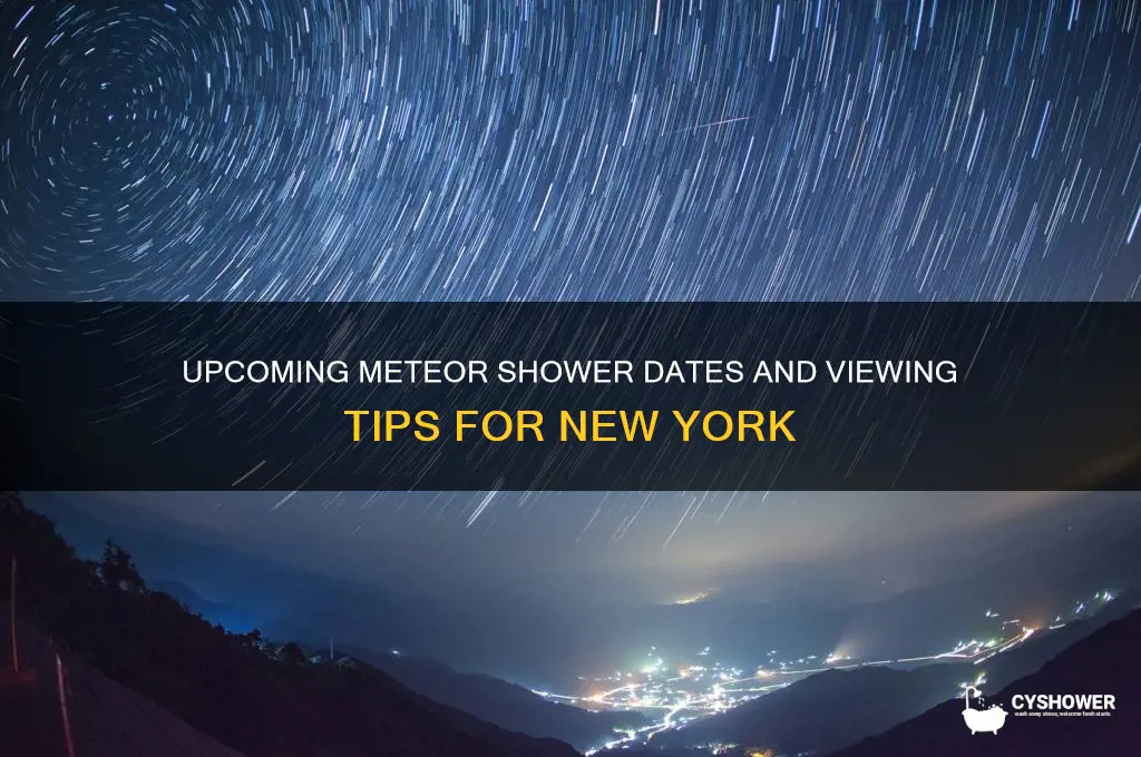 when is the next meteor shower in new york