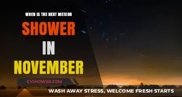 November's Celestial Show: When to Spot the Next Meteor Shower