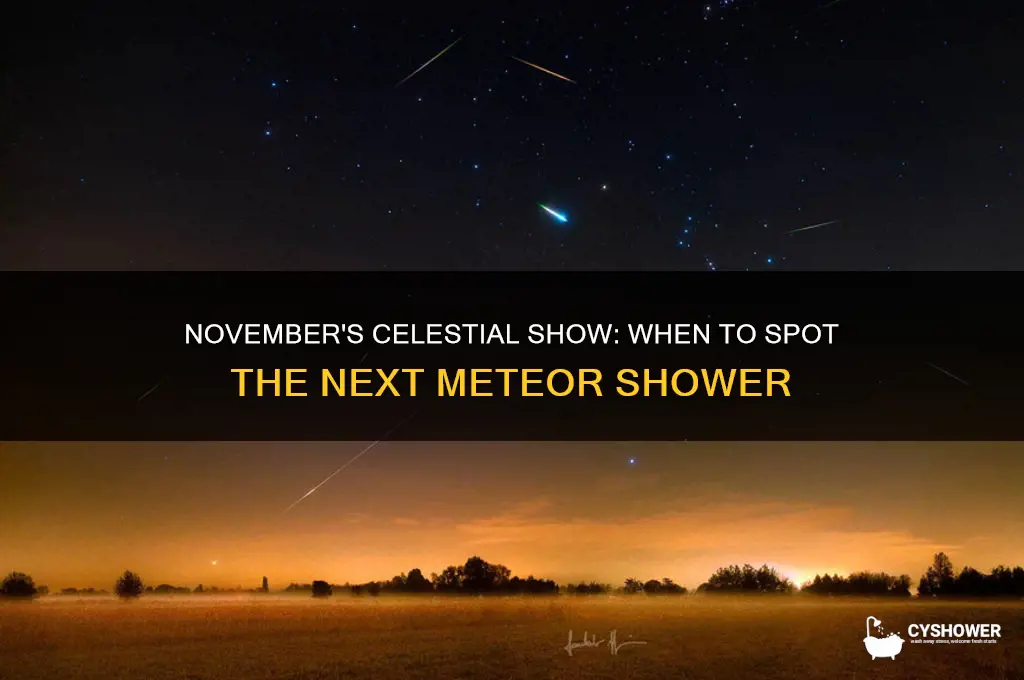 when is the next meteor shower in november