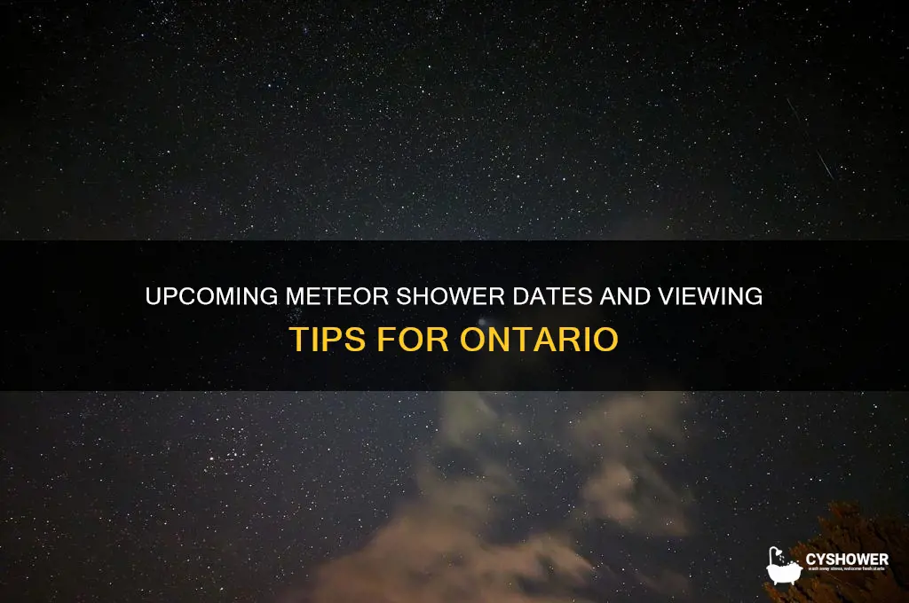 when is the next meteor shower in ontario