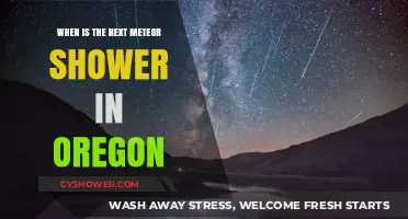 Oregon's Next Meteor Shower: Dates, Viewing Tips, and Best Spots