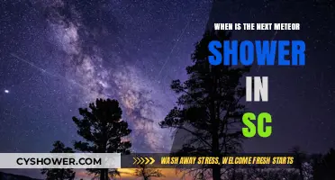 Next Meteor Shower in South Carolina: Dates and Viewing Tips
