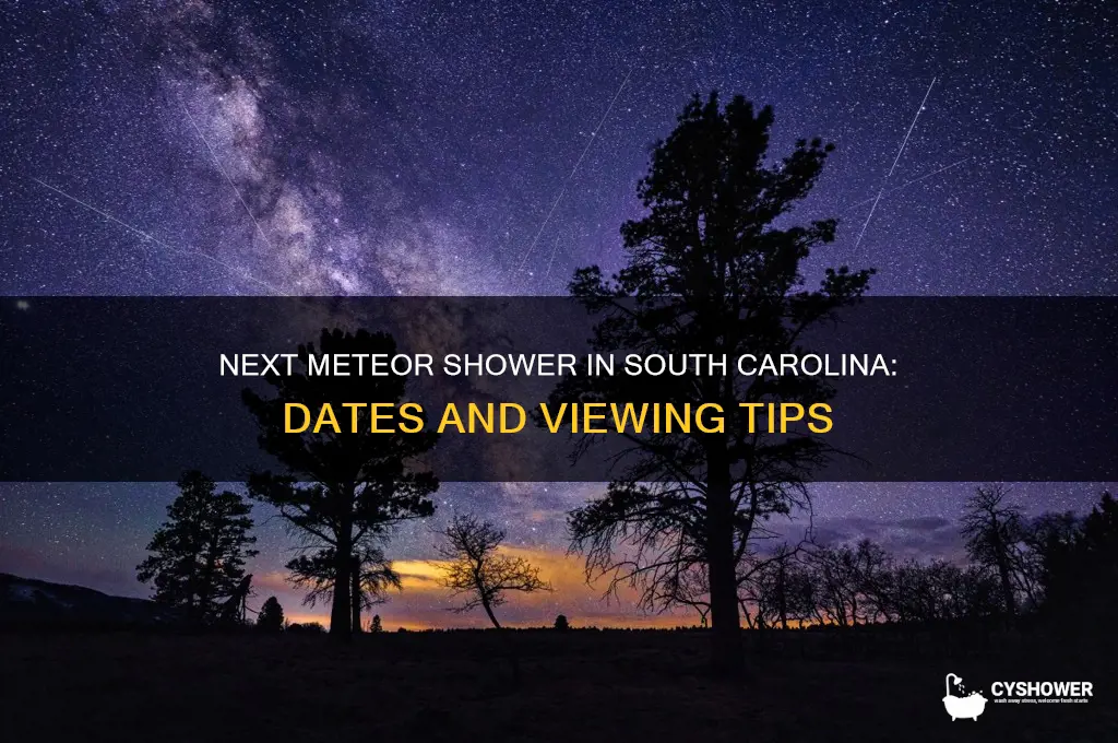 when is the next meteor shower in sc