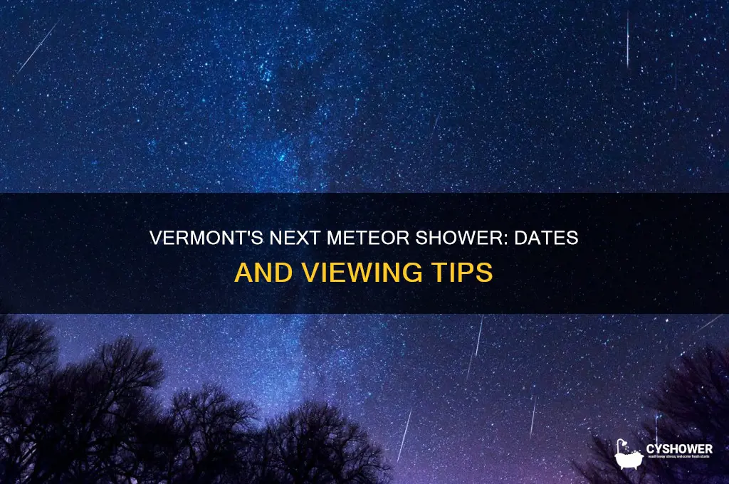 when is the next meteor shower in vermont