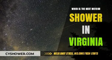 Virginia's Next Meteor Shower: Dates, Viewing Tips, and Best Spots