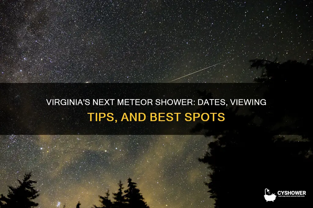 when is the next meteor shower in virginia