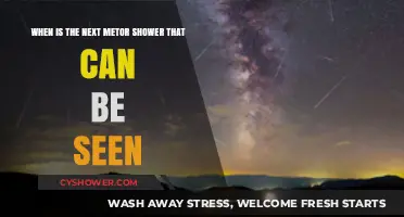 Upcoming Meteor Shower: When and Where to Watch the Night Sky