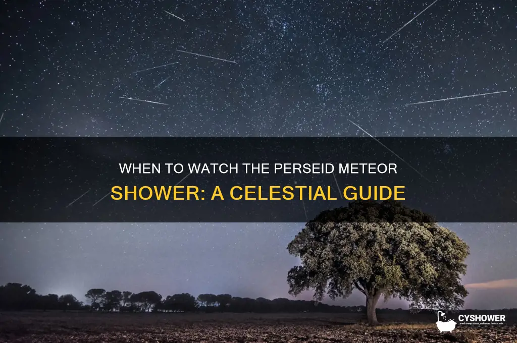 when is the perced meteor shower