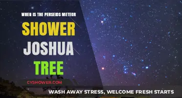 Joshua Tree Perseids Meteor Shower: Dates and Viewing Tips