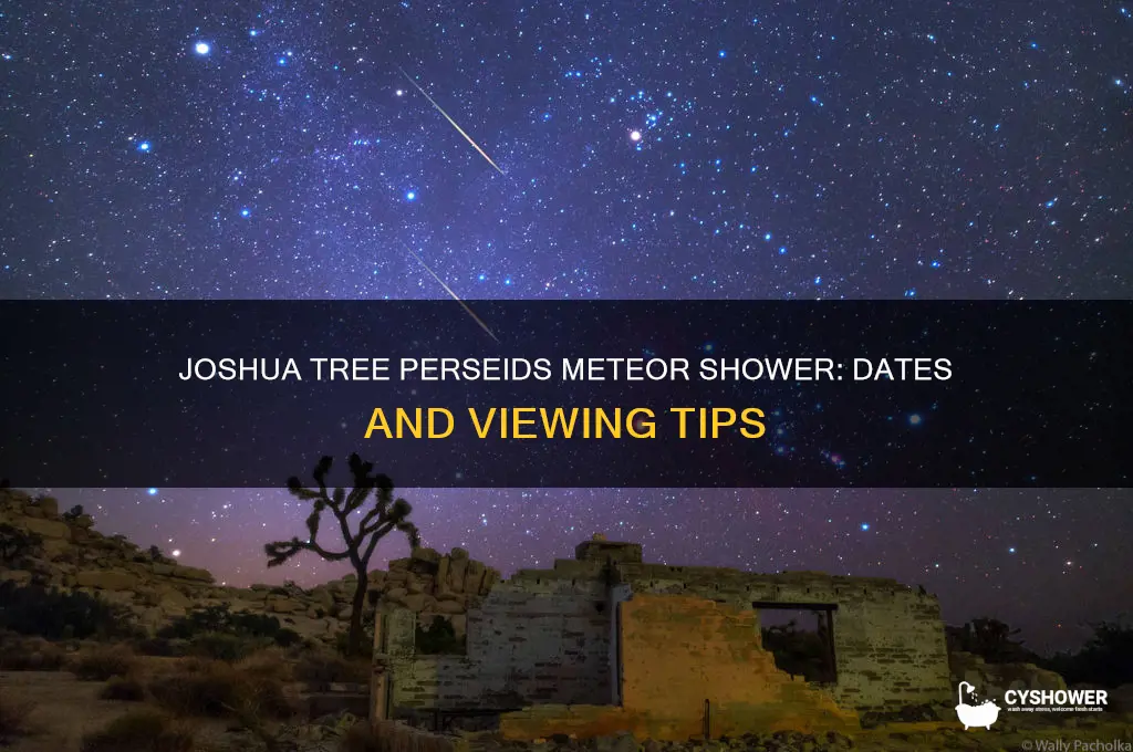 when is the perseids meteor shower joshua tree