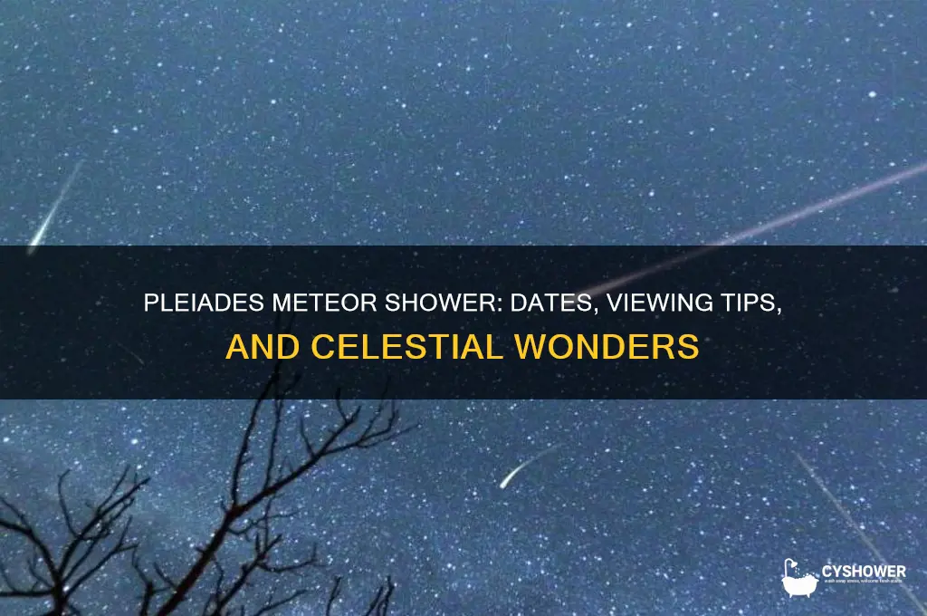 when is the pleiades meteor shower