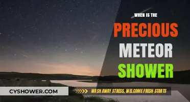 Mark Your Calendar: When to Witness the Precious Meteor Shower