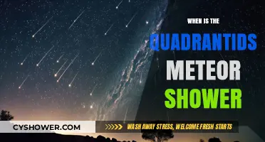 Quadrantids Meteor Shower: When and Where to Watch the Celestial Show