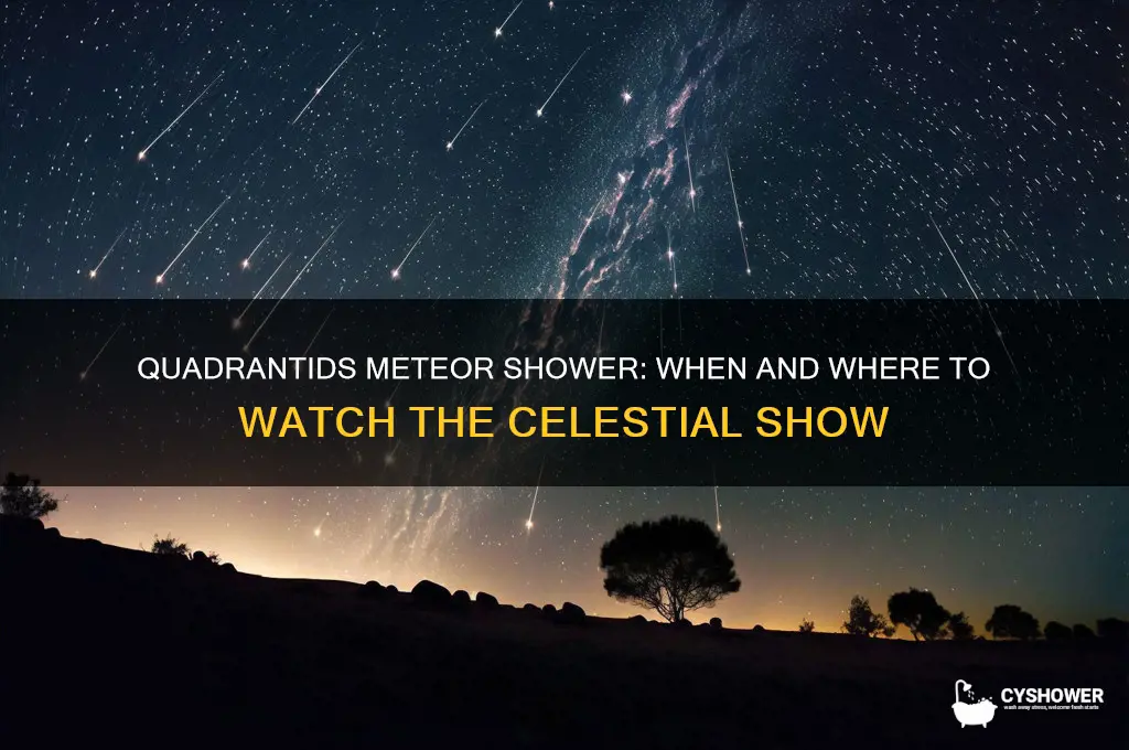 when is the quadrantids meteor shower