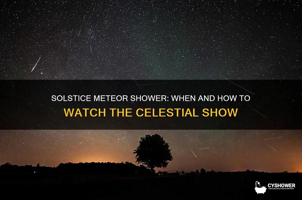 when is the solstice meteor shower