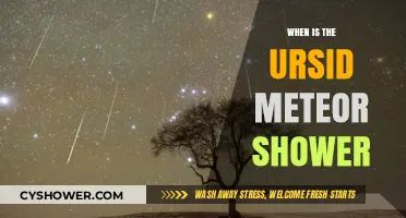 When to Watch the Ursid Meteor Shower: A Celestial Guide