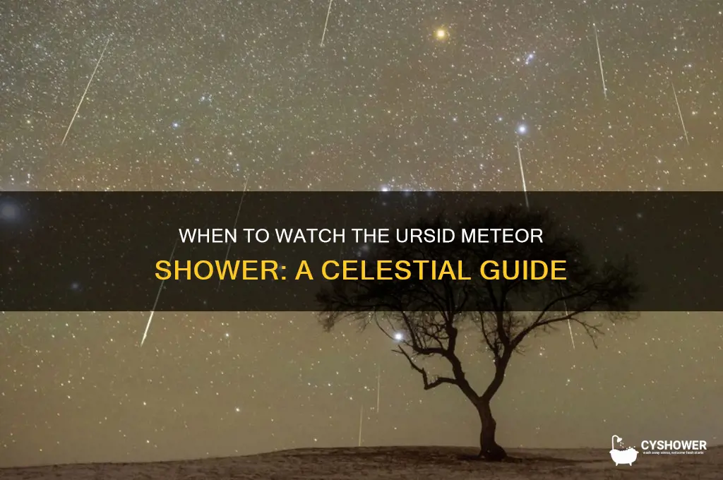 when is the ursid meteor shower