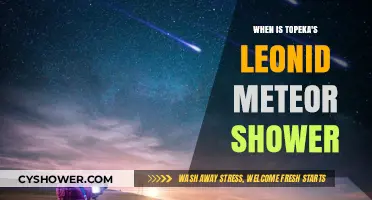 Topeka's Leonid Meteor Shower: Dates, Viewing Tips, and Peak Times