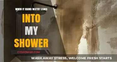 Shower Leaks When It Rains: Causes, Solutions, and Prevention Tips