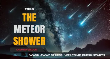 When to Watch the Meteor Shower: A Stargazer's Guide