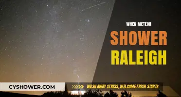 Raleigh's Meteor Shower Guide: Dates, Viewing Tips, and Best Spots