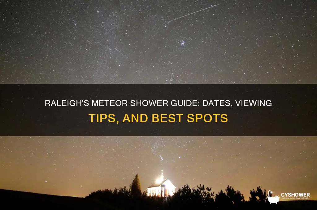 when meteor shower raleigh