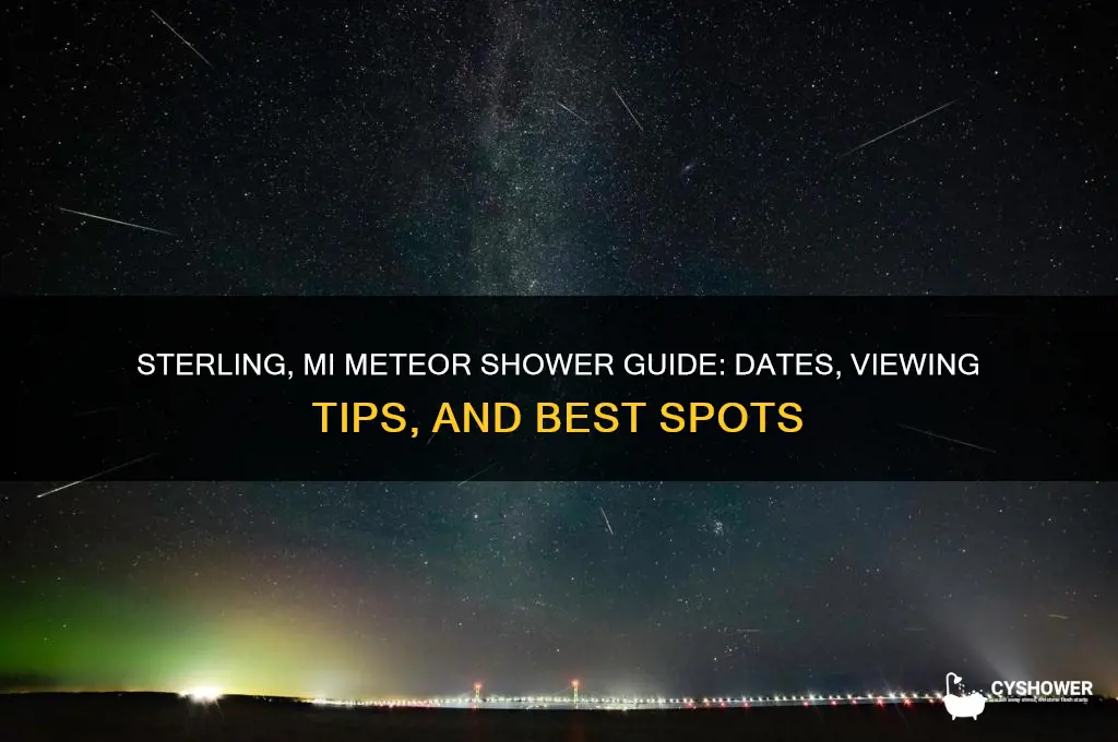 when meteor shower sterling mi