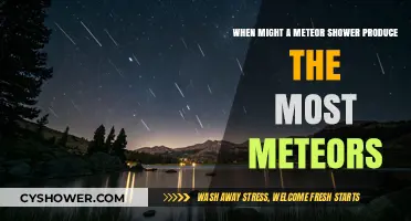 Peak Meteor Shower Magic: Factors Influencing Maximum Meteor Counts