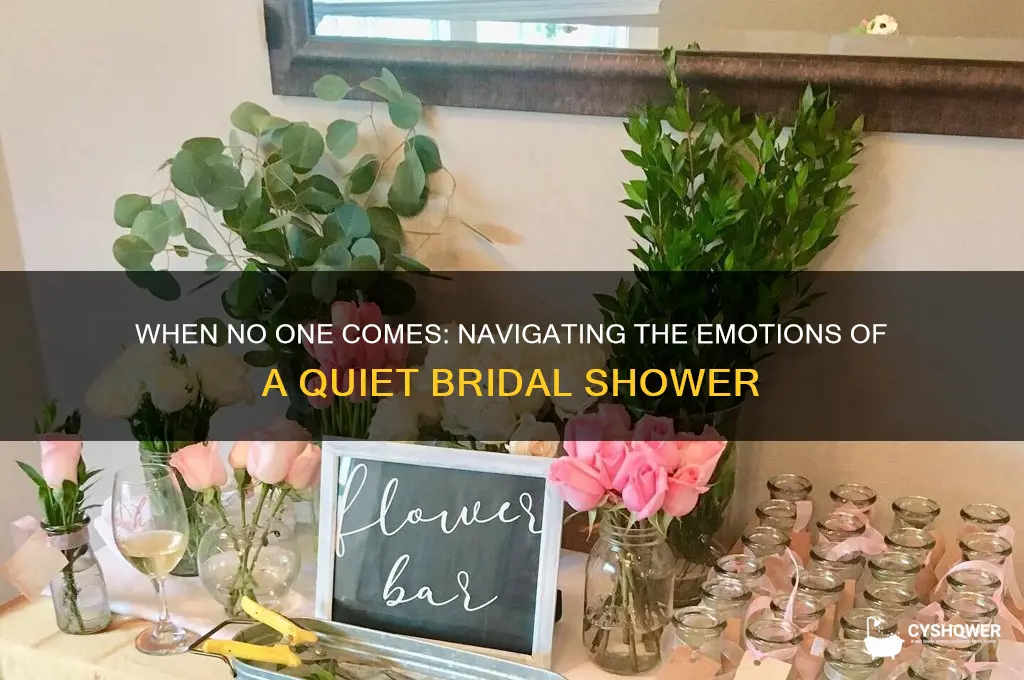 when no one comes to your bridal shower