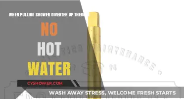 Shower Diverter Issue: No Hot Water When Pulled Up? Fix It!