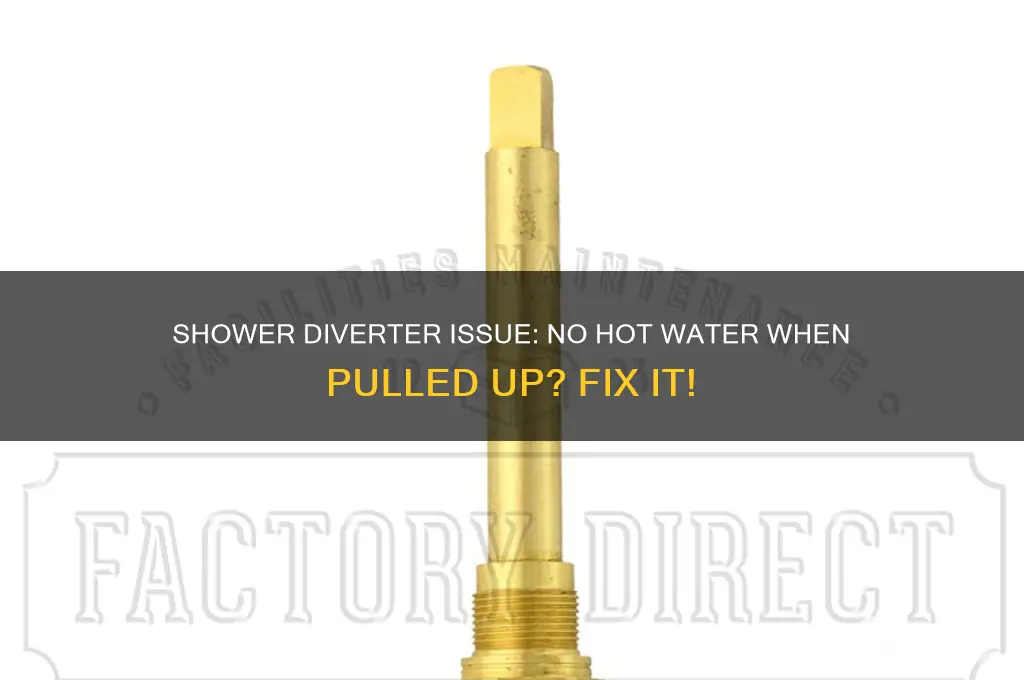 when pulling shower diverter up there is no hot water