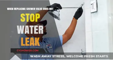 Persistent Shower Leak? Troubleshooting Beyond Valve Replacement Solutions