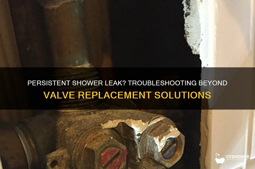 when replacing shower valve does not stop water leak