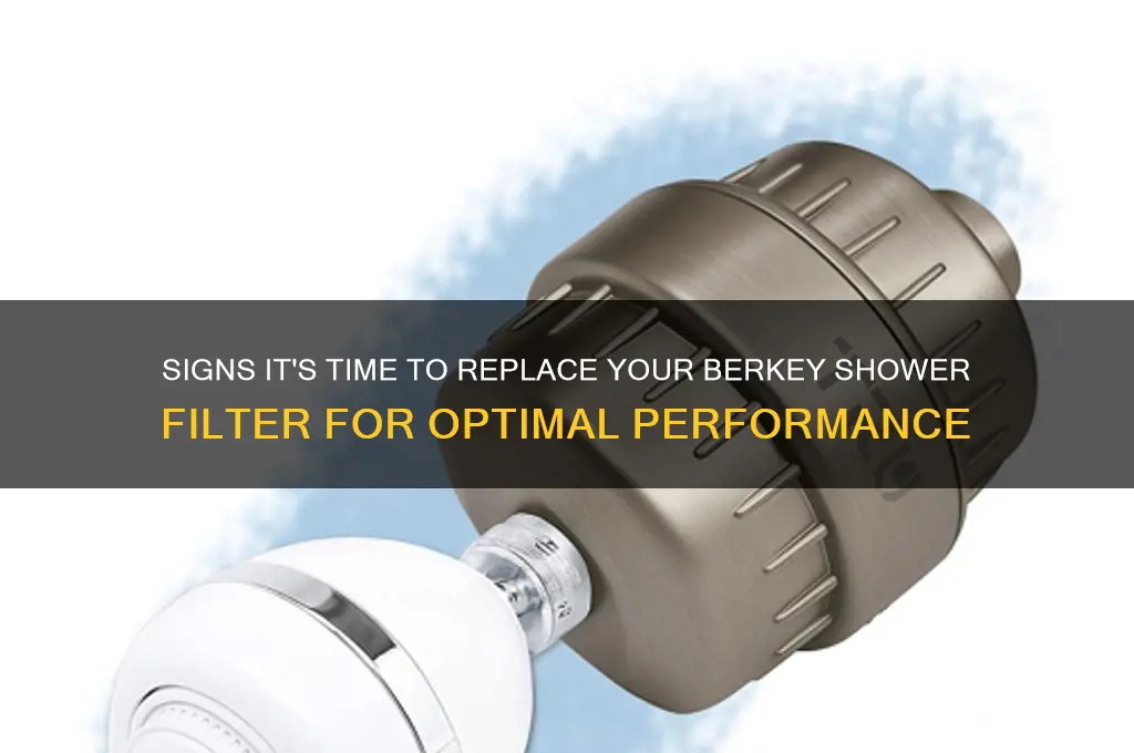 when should i replace my berkey shower filter