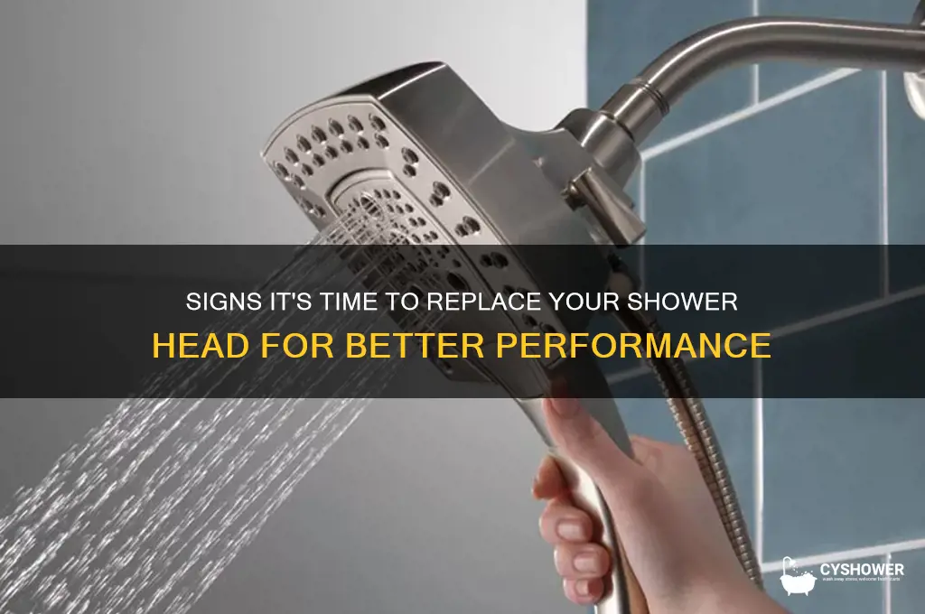 when should you change your shower head