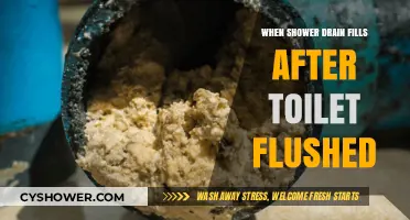 Why Your Shower Drain Backs Up When You Flush the Toilet