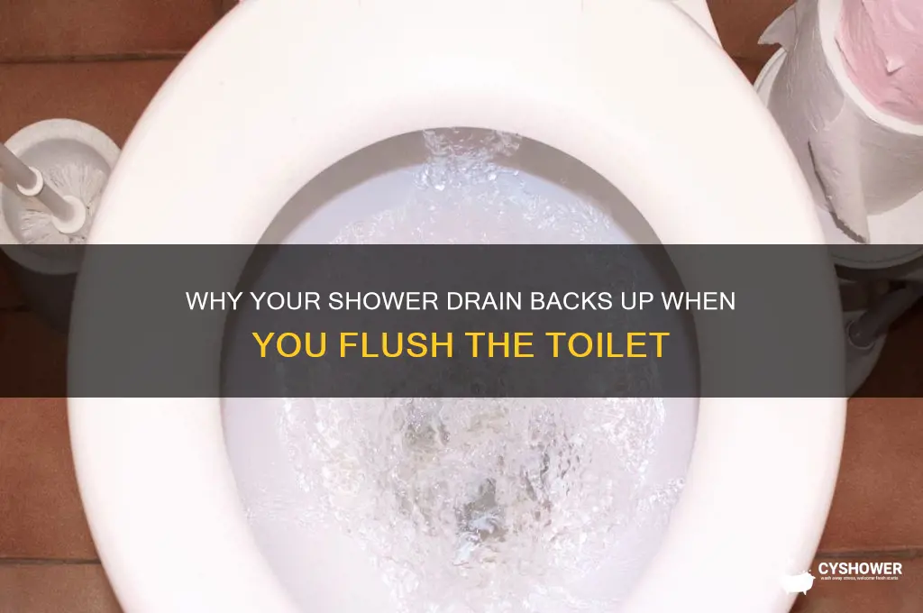 when shower drain fills after toilet flushed